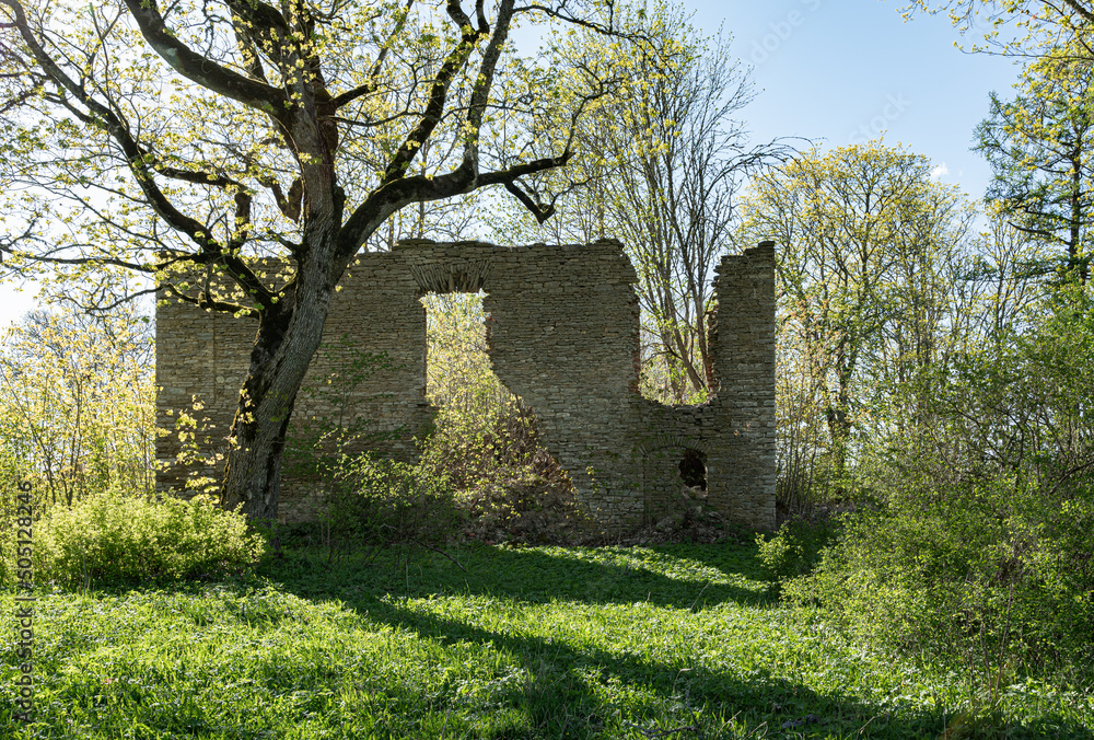 ruins of limestone
