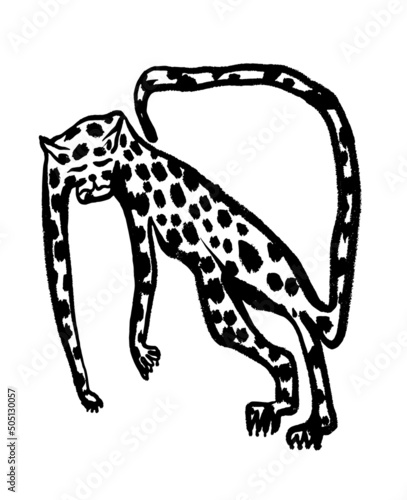 drawing picture funny stylized spotted panther figurine isolated on white background, sketch, hand drawn digital vector illustration