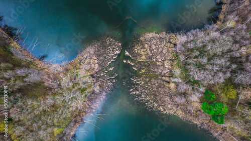 Top down view of the small islands in the lake. Blue water, dry and broken trees. © Jakub Łukasik