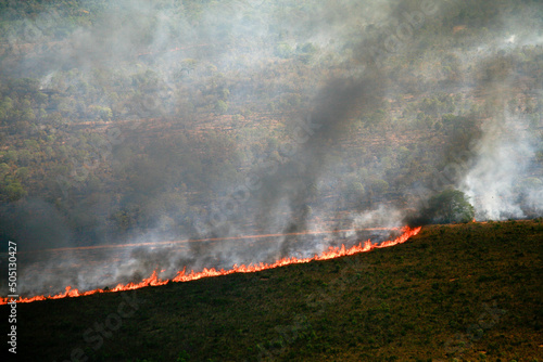 Flames and smoke curtain of a forest fire in the Brazilian Amazon.