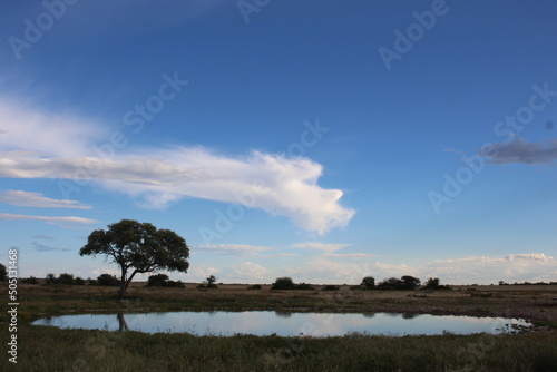 Waterhole - Okaukuejo Camp - Etosha National Park - Namibia photo