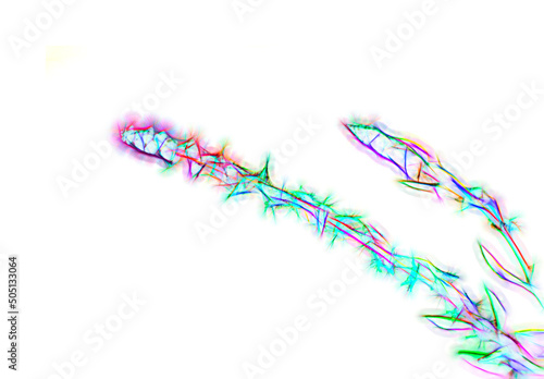 brightly colored abstract wild flower on white background, psychedelic digital art
