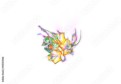 brightly colored abstract wild flower on white background, psychedelic digital art