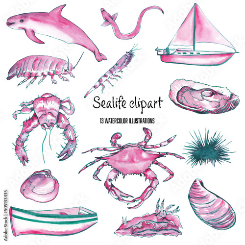 Ocean animals and sea life illustrations. Oyster, zebra mussel, yeti crab, blue crab, urchin, krill, isopods, nudibranch, quahog, vaquita, yacht, boat. Isolated on white watercolor clipart.  photo