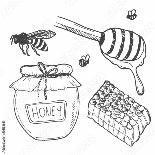 Honey set. Hand-drawn black doodle drawing. Vector illustration. Line art sketch of honey concept