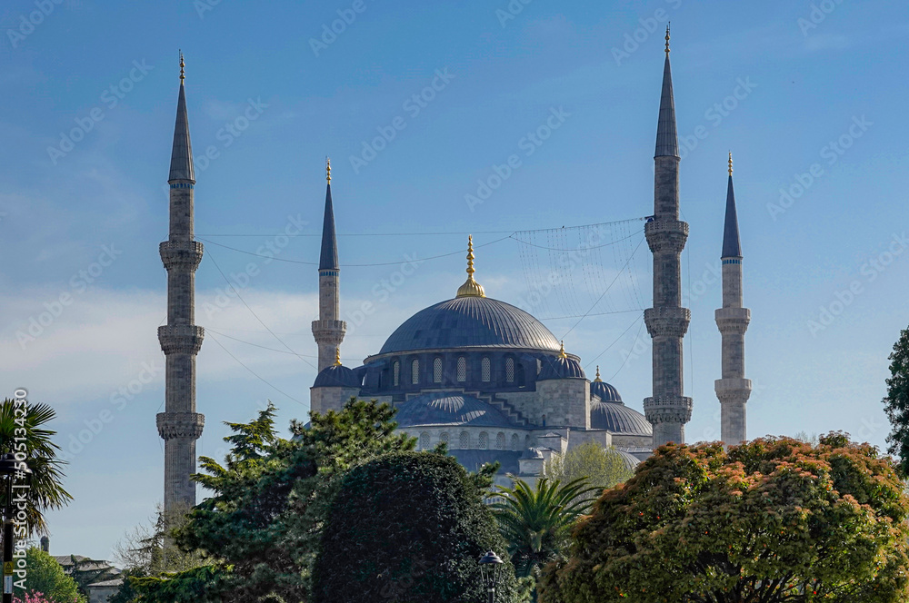 Obraz premium Hagia Sophia Grand Mosque in Istanbul