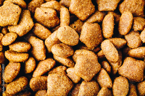 Dog food. Dried dog food background