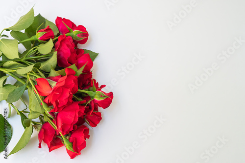 red roses isolated on white background. copy space available. Valentines, mothers, teachers day concepts.