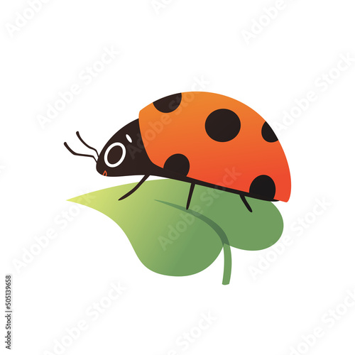 Cartoon ladybug with eyes on one leaf. Cute insect side view with gradient. Spotted beetle vector illustration isolated on white background.