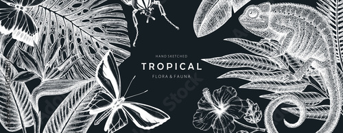 Tropical banner design on chalkboard. Vector frame with hand drawn tropical plants, exotic flowers, palm leaves, insects and chameleon. Vintage wildlife background with tropical plants and animals. photo