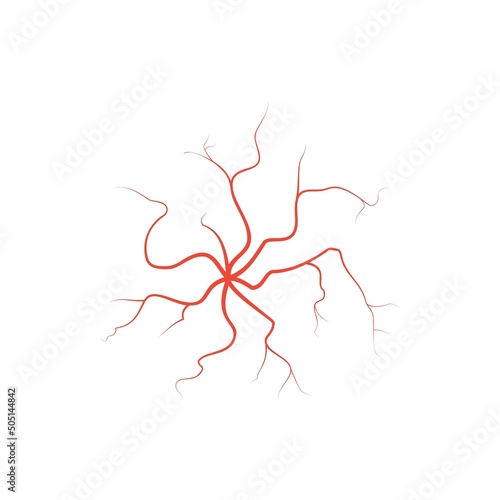 Human red eye veins, anatomy blood vessel arteries illustration. Vector medical eyeball vein arteries system map. Veins in flat style isolated on white background