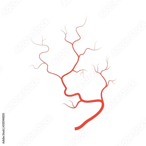 Human red eye veins, anatomy blood vessel arteries illustration. Vector medical eyeball vein arteries system map. Veins in flat style isolated on white background