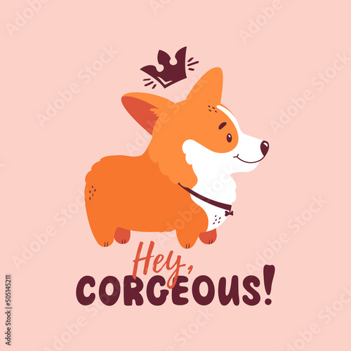 Corgi with crown and quote - Hey, corgeous. Welsh corgi print for card, poster or t-shirt design. Vector illustration isolated on pink background. Cute dog and funny lettering.
