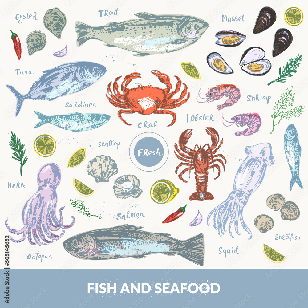 Hand drawn colorful sketch of seafood and fish