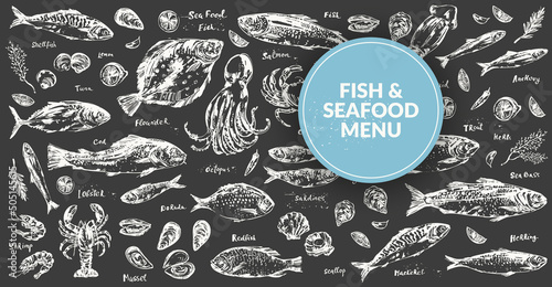 Hand drawn chalk seafood sketch, fish for menu background