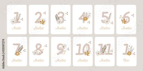 Cute set of monthly milestone cards. Baby postcards with numbers and flowers for a newborn girl. Print baby shower, baby's birthday. Kids collection of 1-11 months and 1 year. Nursery design
