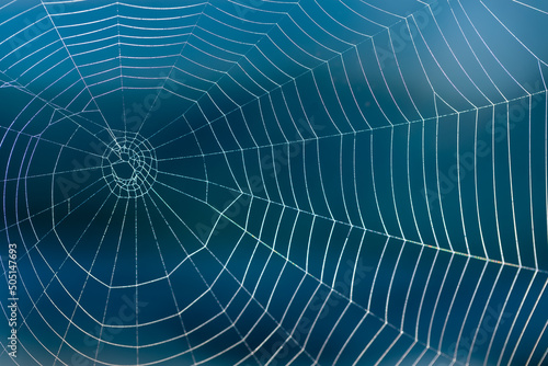The web is woven by a spider. Selective focus.