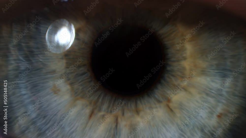 Extreme close up of human eye. Blue eye opening and closing in slow motion Extreme close up of human eye. Blue eye opening and closing in slow motion