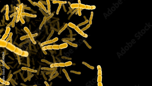 Streptococcus pneumonia bacteria cells. 3D render microscopic background with copy space photo
