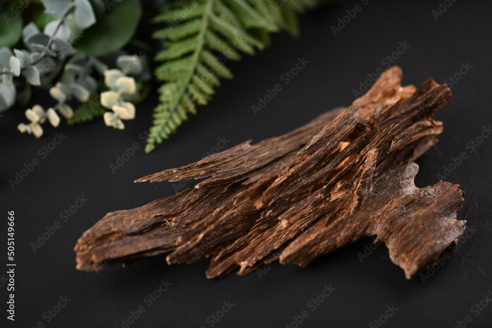 Fototapeta premium Close UpShot Of Sticks Of oudh On Black Background The Incense Chips Used By Burning It Or For Arabian Oud Oils Or Bakhoor
