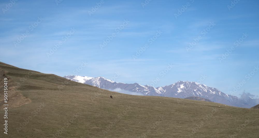 mountain landscape in spring in a beautiful place.
beautiful view of the mountains in the Republic of Dagestan. Russia