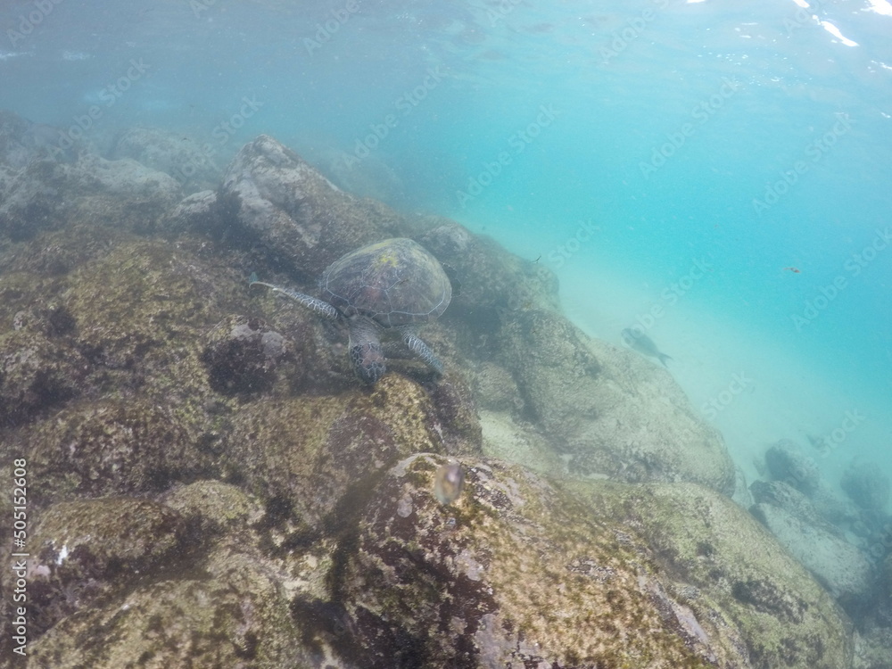DCIM\100GOPRO\G0411338. DCIM\100GOPRO\G0411338.