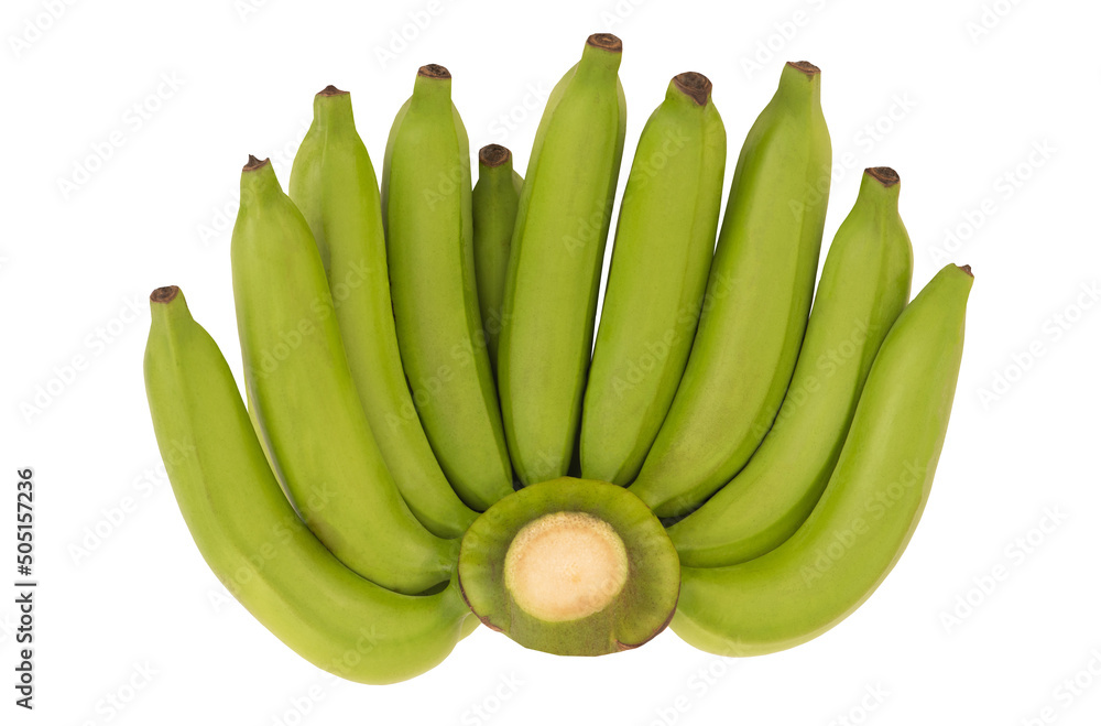 Cavendish banana fruits isolated on white background with clipping path.