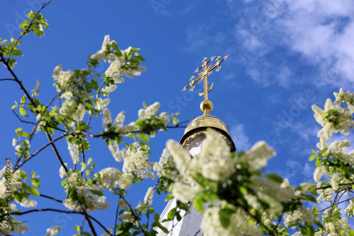 Bell tower of Orthodox temple with golden cross, view through bird cherry flowers on blue sky