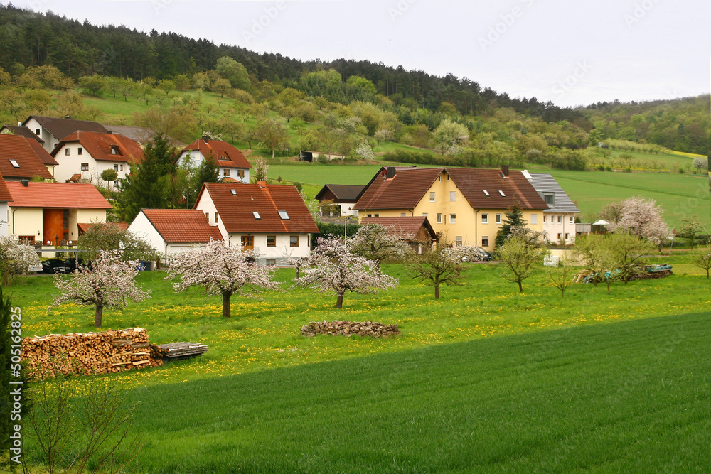 German Landscape. Spring in the Countryside. Green meadows, grass, blossoming Cherry Trees, Dandelions. Modern Village houses . green fields, forest on the hills and sky on the background German Landscape. Spring in the Countryside. Green meadows, grass, blossoming Cherry Trees, Dandelions. Modern Village houses . green fields, forest on the hills and sky on the background