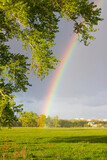 spring rainbow in nature