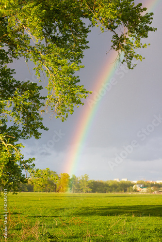 spring rainbow in nature © Dmitriy