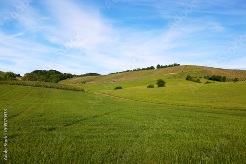 Landscape in Hohenlohe near Michelbach am Wald  Baden-W  rttemberg  Germany  Europe