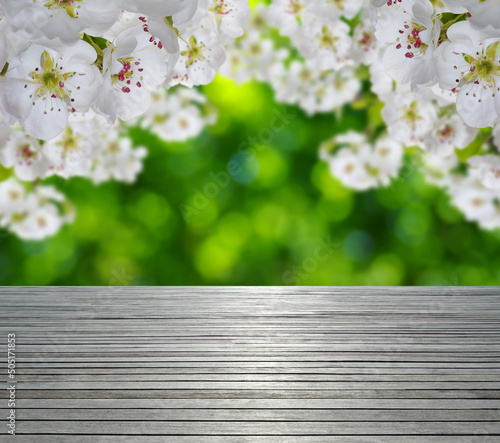 wooden spring blossom