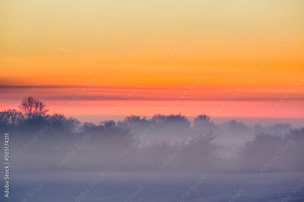 Fototapeta premium Winter sunset, with golden sky and low mist over frozen fields. Kildare, Ireland.