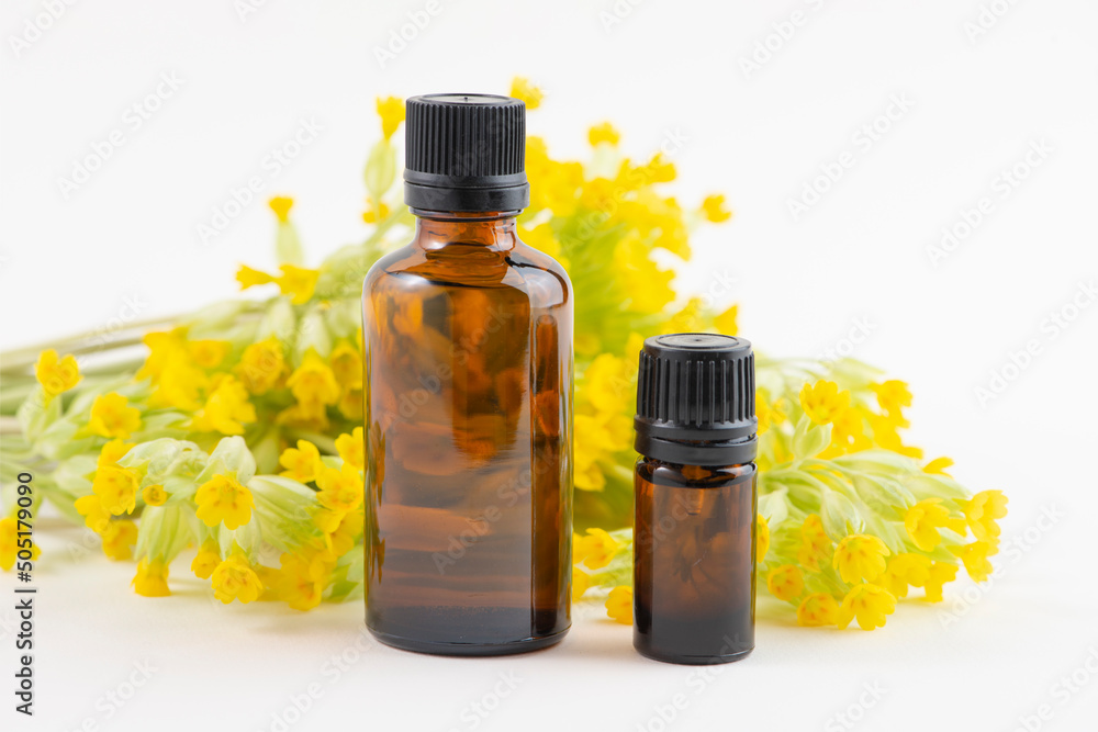Dark glass bottles and cowslip, Primula veris, flowers isolated on white background. Dark glass bottles and cowslip, Primula veris, flowers isolated on white background.