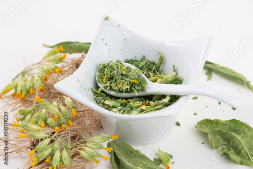 Small spoon with dry healthy cowslip, Primula veris, herbal tea, top view, close-up.