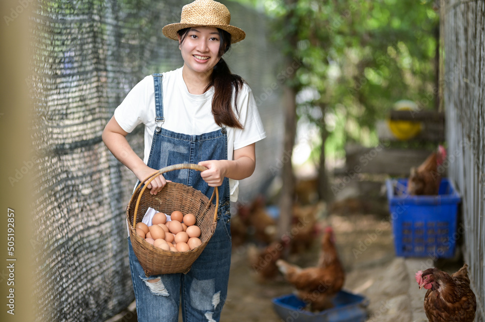 Young woman holding a basket of eggs standing in a chicken farm, laying hen farm. Young woman holding a basket of eggs standing in a chicken farm, laying hen farm.