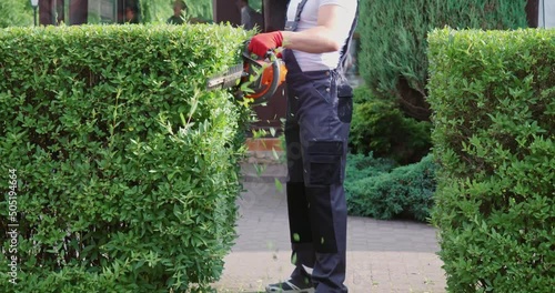 Muscular handyman in grey overall and gloves using electric trimmer for shaping bushes on back yard. Crop view of male worker doing seasonal and manual work outdoors. Concept of working space.
