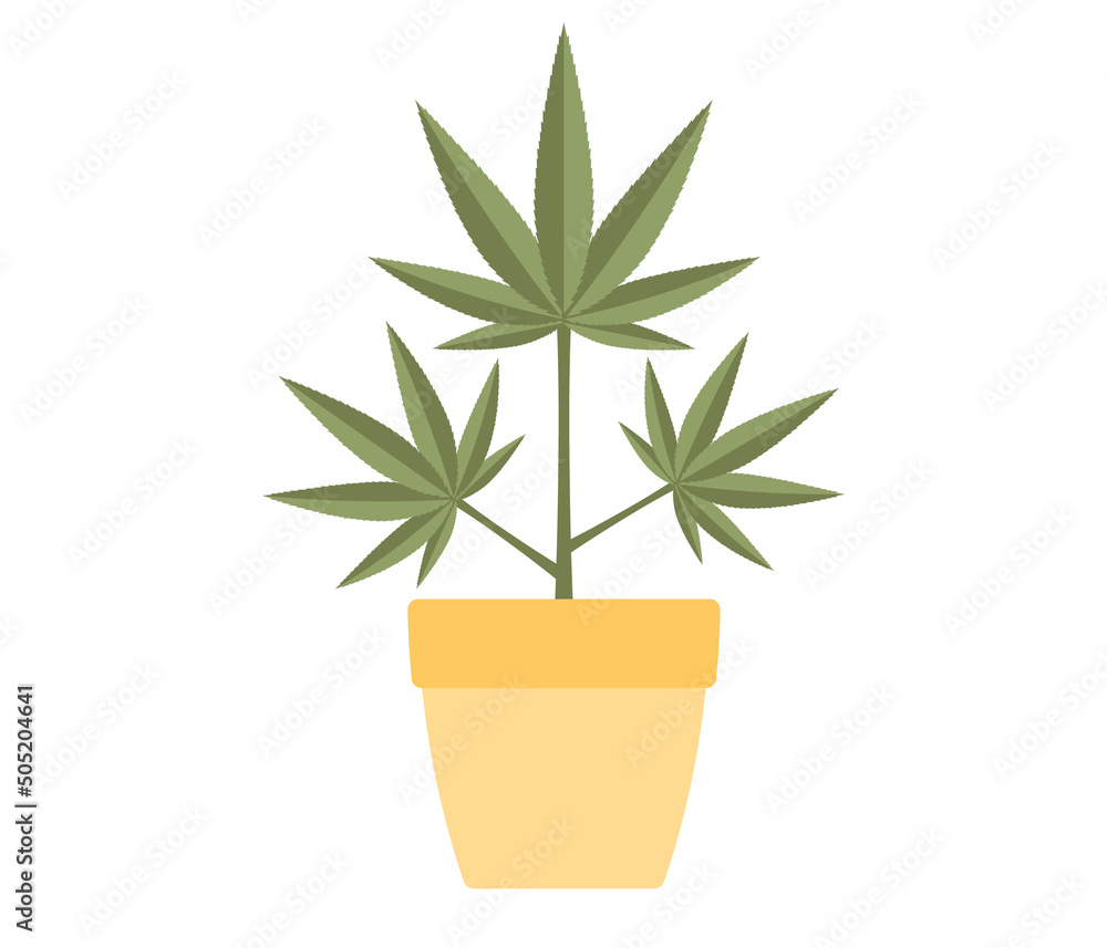 Fototapeta premium Marijuana or cannabis plant in flower pot icon. Vector flat illustration 