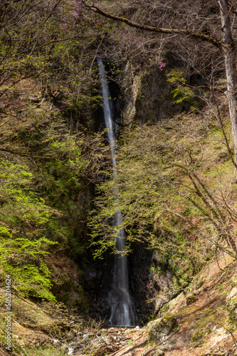 山梨県小菅村の白糸の滝 photo