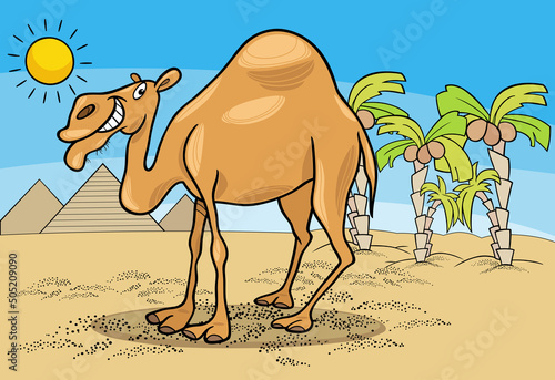 funny cartoon dromedary camel in the desert
