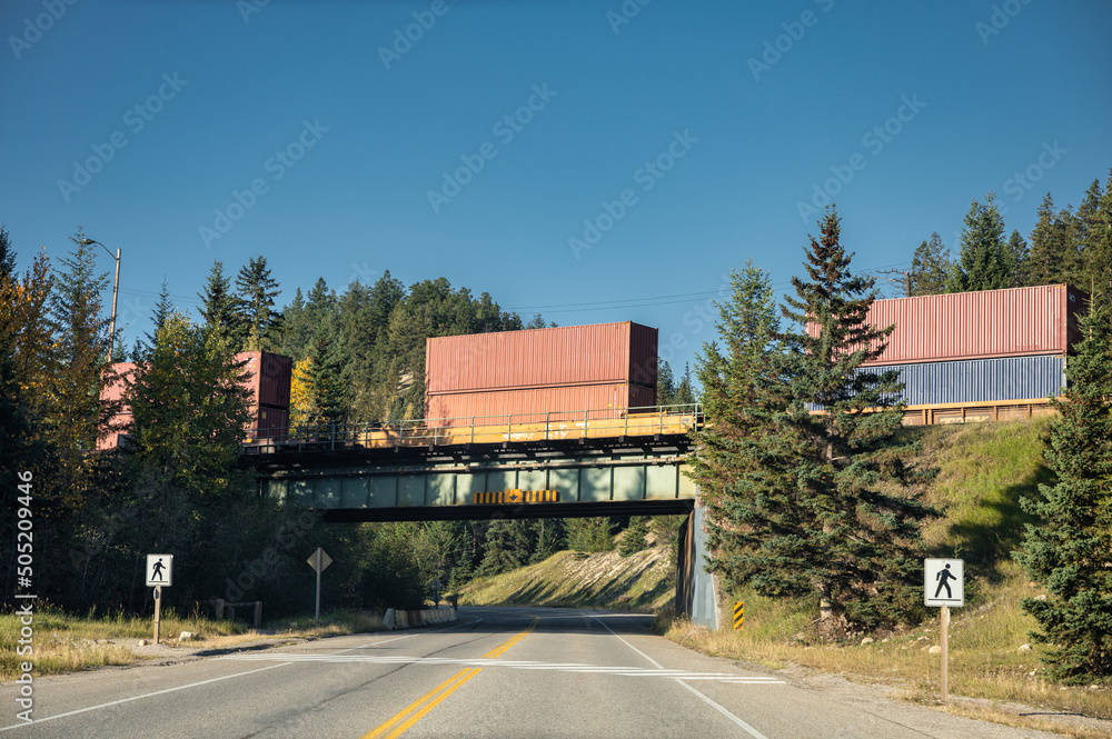 Container freight train passing on railway crossing the road in the forest at national park