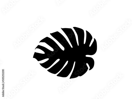 Black silhouettes of tropical palm leaves isolated on white background. Exotic plants leaves set. Vector.Set of Tropical leaves. Collection black leaves palm, fan palm, banana leaves. Nature leaves co