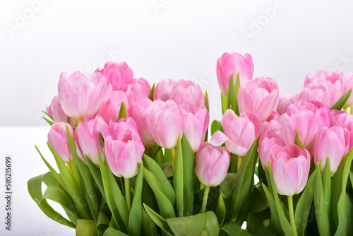 Spring Tulip Flowers over white. Tulips bunch. Pink tulips. © Svetlana Fedoseeva