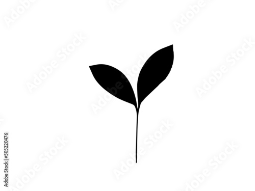 Two leaves free vector icons,Free Vector Leaf Silhouette,Free Leaf Silhouettes Vector Collection,Free Bodhi Leaf Vector Art,Leaf Silhouette Art Free Vector,Two leaves free vector icons