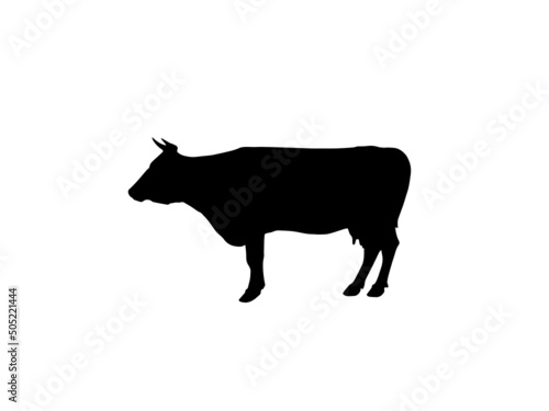 A cow body silhouette vector stock illustration,Black silhouette of a grazing cow vector illustration stock illustration,A cow body silhouette vector stock illustration