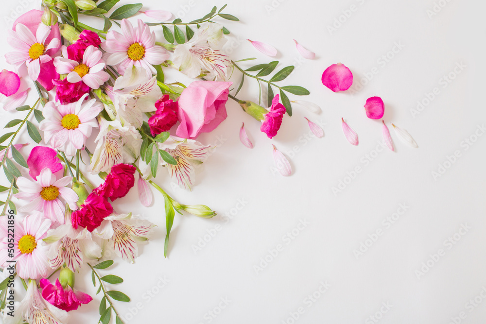 beautiful pink and white flowers on white background - obrazy, fototapety, plakaty 