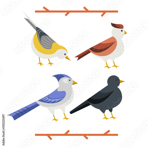 Hand drawn set of four garden birds in flat cartoon style, isolated vector illustration