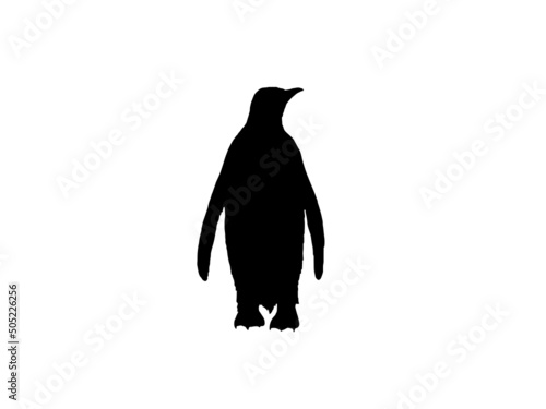 Penguin vector logo design template.Penguins Vectors,Black and white paint penguin. Vector illustration.
