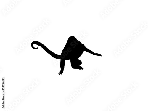 Isolated Monkey Vector Silhouettes Stock Vector.Animal Silhouette, Silhouette Clip Art.Monkey silhouettes collection.